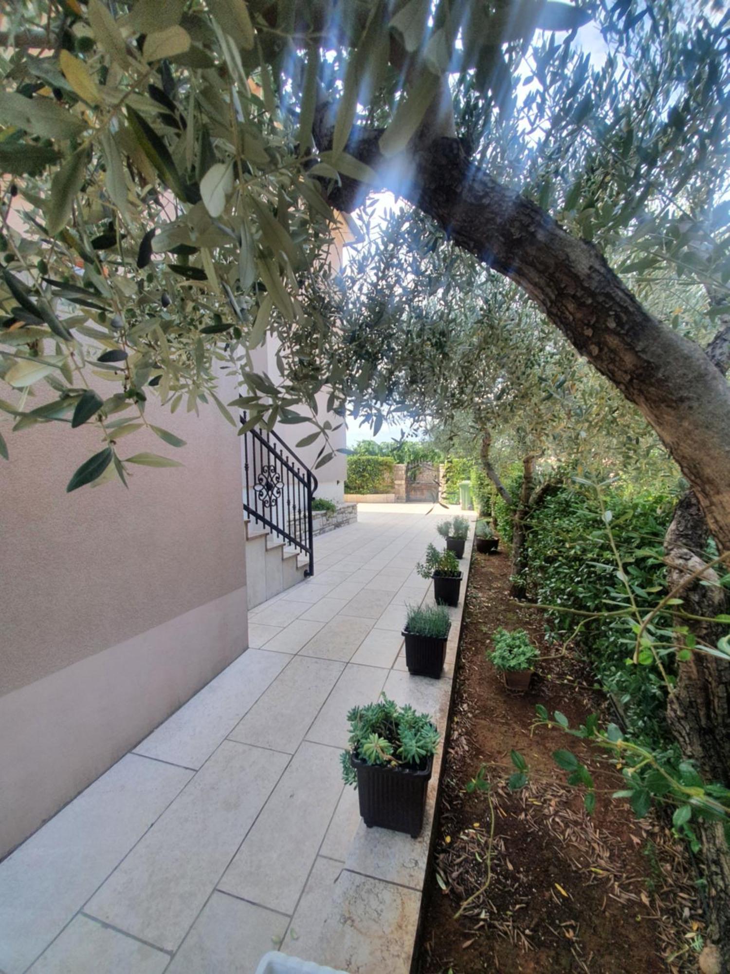Apartment And Room Marlen Ровинско село Екстериор снимка